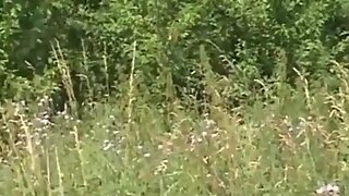 Superbe chienne amatrice de bites africaines