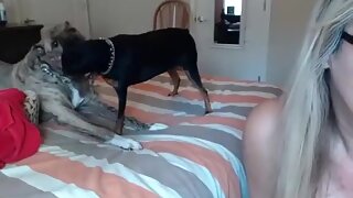backwoodsbeaver intimate record on 2/1/15 14:23 from chaturbate
