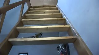 sex Step mom